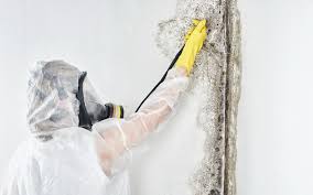  Colonia, NJ Mold Removal & Remediation Pros